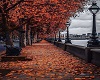 fall in the city bg