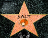 [KC]Salt Hollywood Star