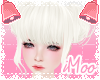 Amaris | Albino