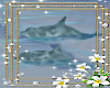 *Dolphins 4 Couple