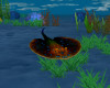 !Halloween Sting Ray