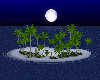 Moon Lit Island Night