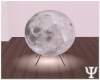 Y| Moon Stand