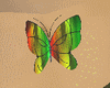 [MK] rainbow butterfly