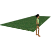Grass Plot
