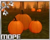 Hallowen Pumpkins