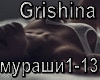 Grishina-Murashi