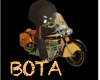 Bota Riders02 m