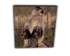 karol