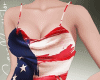 4th of July Dress RL