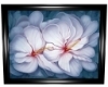 Still-Art ''Flowers''2