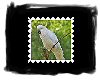 Cockatoo Stamp