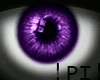 !PI! Purple Giirl