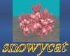 SC Pink Coral Cluster