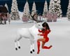 Winter Reindeer White