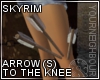 Skyrim-Arrow to the knee