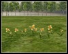 Animated Yellow Flowers