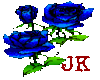 Blue Roses 03
