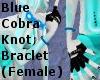 BlueCobraKnotBraclet(F)