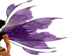 Purple Fairy Queen Wings