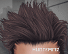 HMZ: Gerard Special