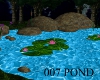 007  pond 