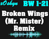 Broken Wings - Remix