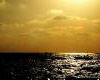 LEBANON-MANARAH NIGHT