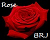 Dj Particle ROSE light