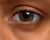 BROWN ASTERI EYES