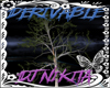 DERIVABLE WINDY TREES