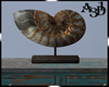A3D* Sea Shell Statue 3