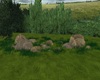 BUSHES N ROCKS