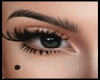 MVeMY EYEBROWS