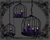 Caged Candles