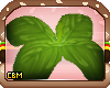 CBM Malk Head Leaf