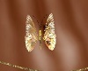 Golden Butterfly Anim