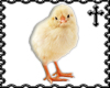* Easter Chicken Sticker