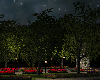 Parks Romantic (Z)