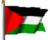 flag of Palestine*