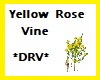 *DRV* Yellow Rose Vine