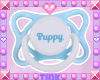 Puppy Paci | Blue