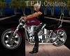 Custom Harley Bike