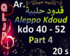QlJp_Ar_Aleppo Kdoud_P4