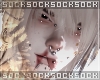 𝒔. aneki