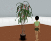 [MK] plant2