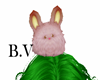 B.V Pet Happy pink