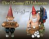 2 x 1_2D Gnomes #3