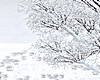 Frozen Forest Photoroom