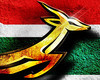 ZA flag with Springbok